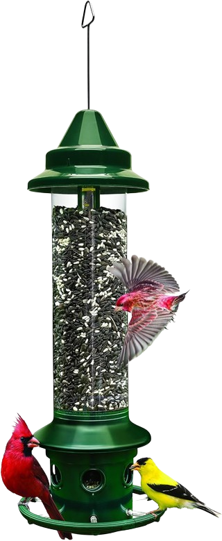 Plus Cardinal Ring Feeder