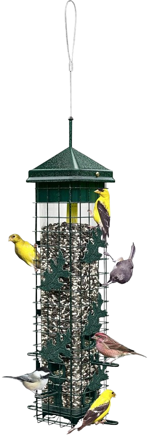 Solution200 Seed Funnel Feeder