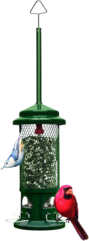 Standard Metal Perch Feeder