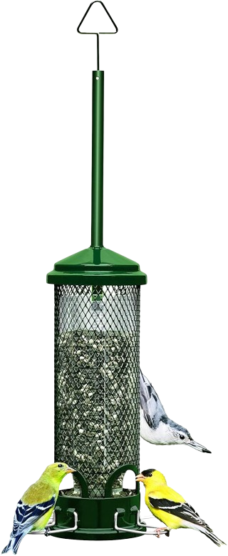 Mini Chew-Proof Bird Feeder