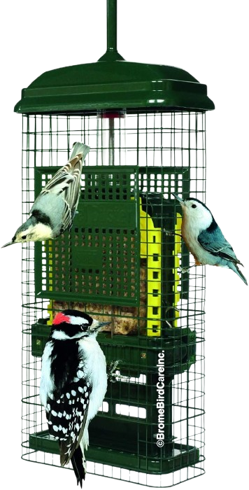 Suet Cake Tray Feeder